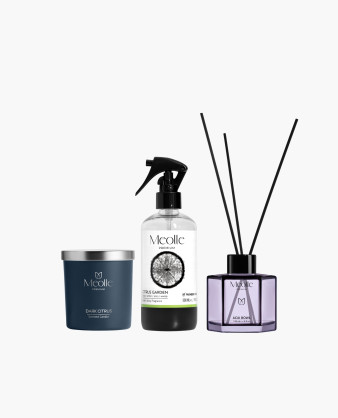 Aroma Set – Citrus & Fruity