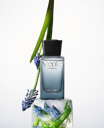 Dark Citrus Reed Diffuser 100 ml 