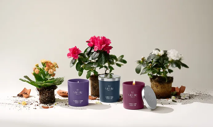 The Story Behind Meolle’s Signature Scents